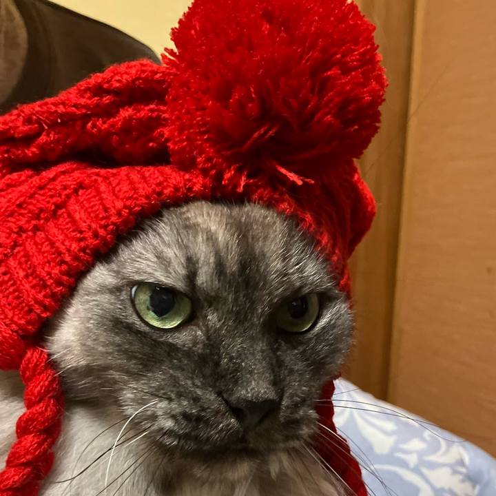 1ccb01dc 1650 487a 86d1 d089f4a3003c 1742989331819