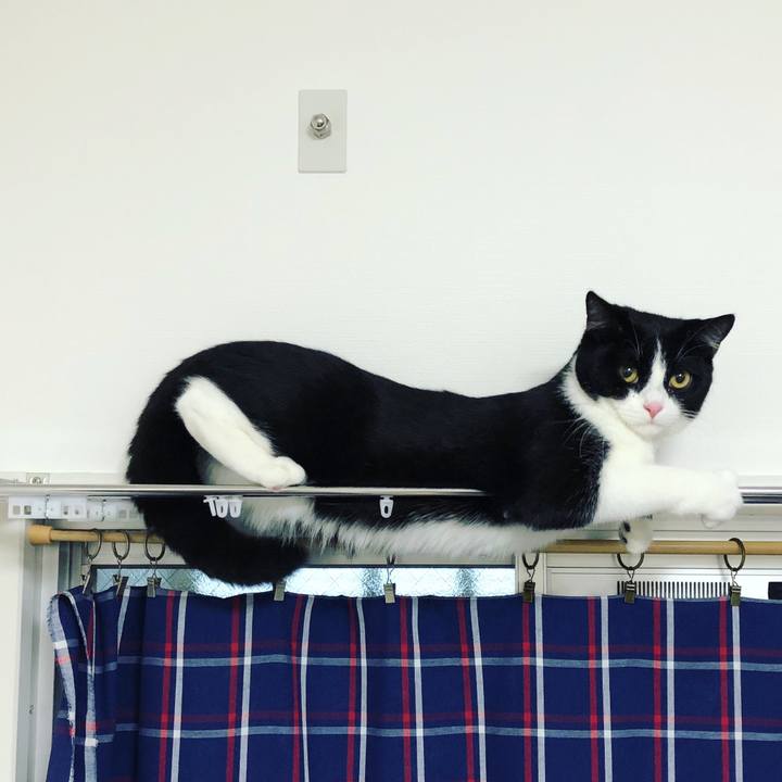 1ccb0b3f fea0 4d3b bdc3 9978e0b8f779 1537308469187