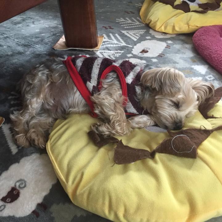 1ccb14eb a36a 4ee9 9b2f 55590c7e5354 1539210376936