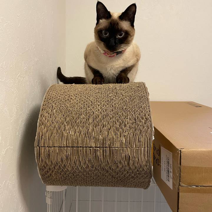 1ccb21ee 08e1 441c 91bb 349a3b9afd28 1718135330639