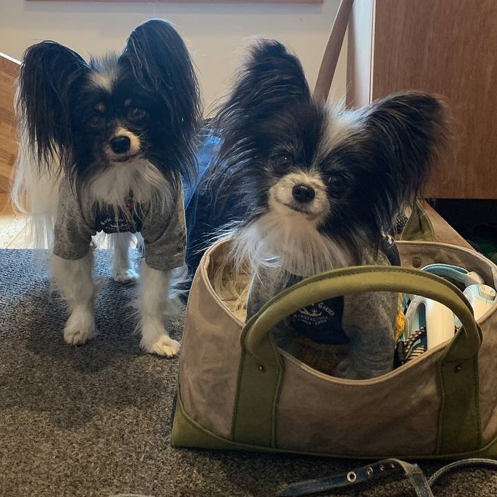 1ccb336e b4b9 4bfe 8835 2aa4bd81aa1d 1650075313482