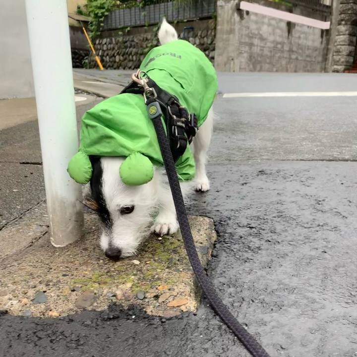 1ccb3dc8 3a2e 48dc a481 4038d05bca78 1655191484177