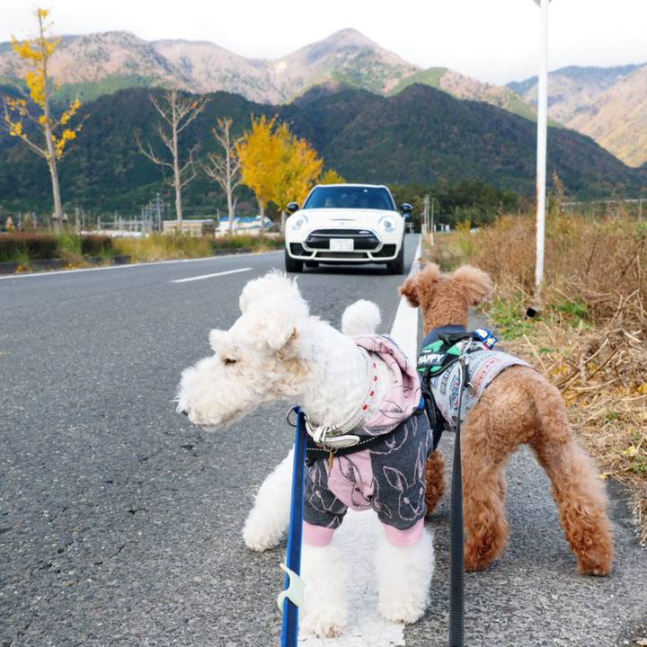 1ccb4739 a5e1 4b9a ace0 93683c993378 1542949268154