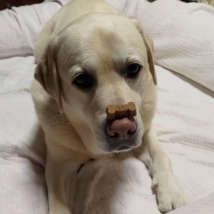 1ccb57a7 ff9b 48e7 b83e b6035f10db57 1684412195596