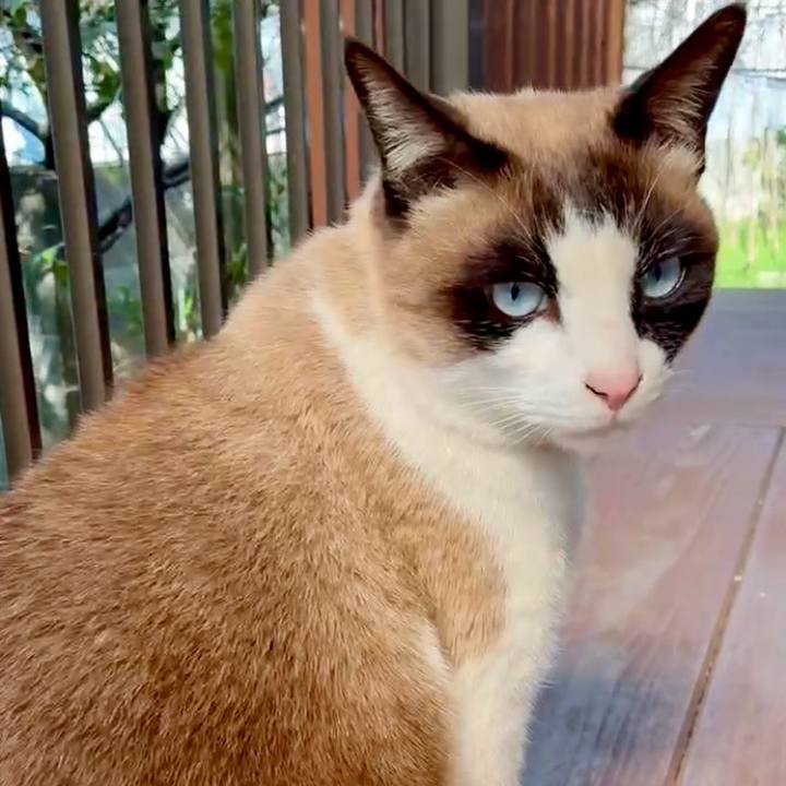 1ccb7517 2012 47dd 84da 33fe79a47672 1773232709759