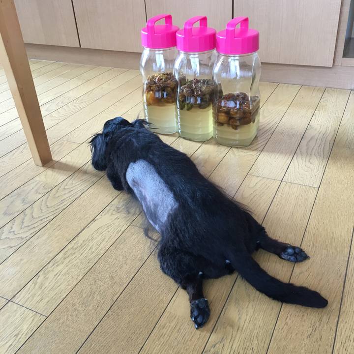 1ccbb1f7 431a 485f a715 42b217ffcc41 1531954313096