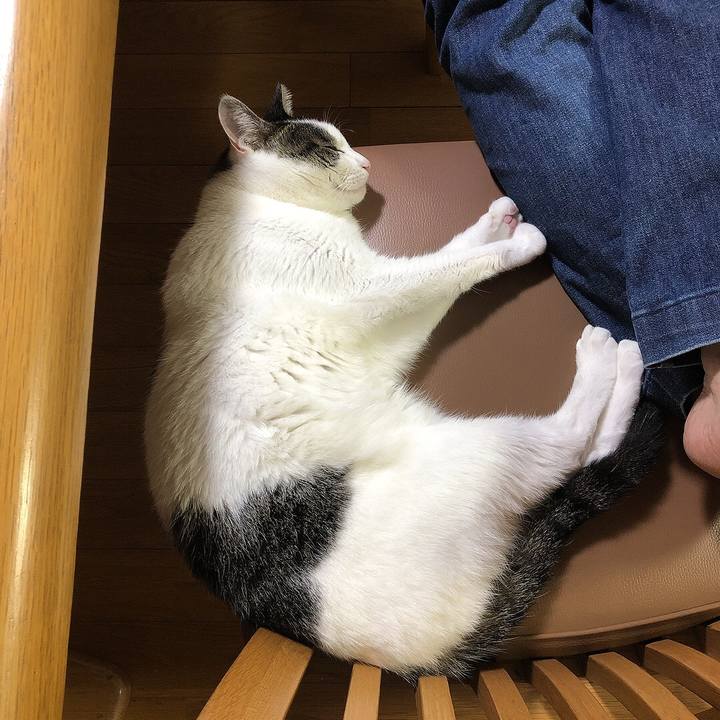 1ccbc6a9 98c7 4d7c 9f32 4e24ccf342a3 1664448423082