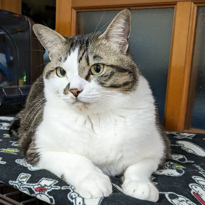 1ccc2678 89eb 4f45 be65 9714a0548949 1705579468600