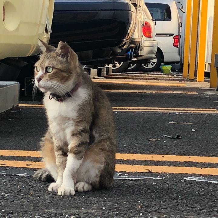 1ccc3837 10d2 4837 b892 f75e5fb6048e 1535963405437