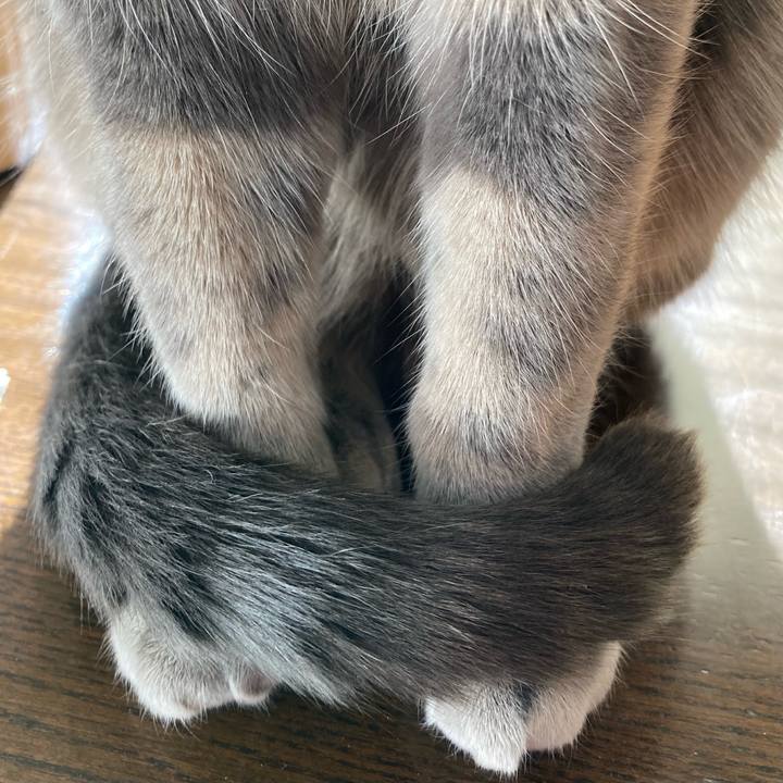 1ccc439d 426f 4056 aa12 1d2ec49b7c91 1635902522507