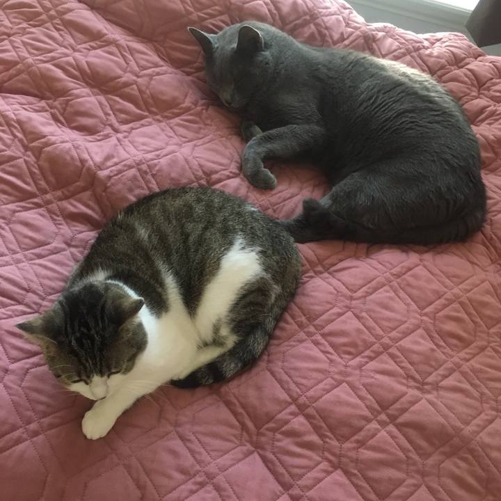 1ccc7295 bae1 454c 8c04 452666c69f5c 1653091801389