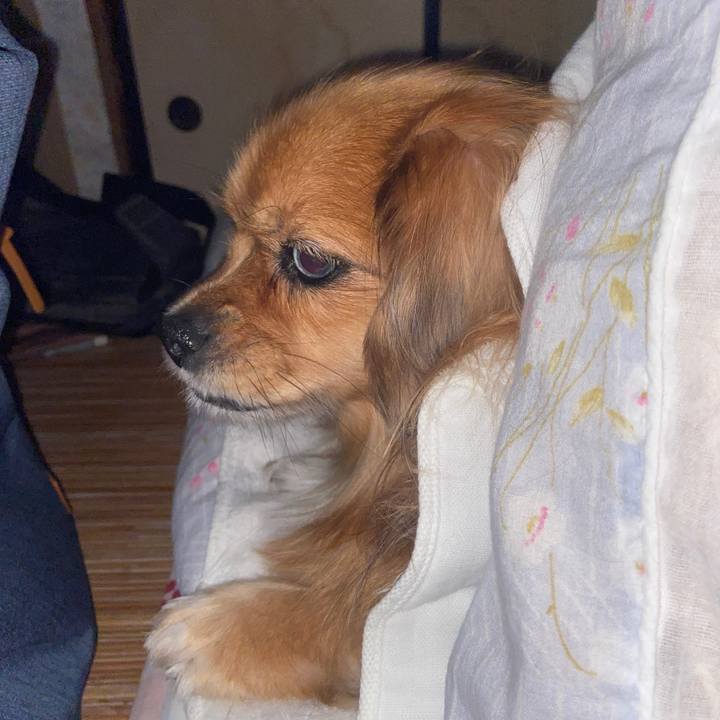 1ccc8711 bb75 4737 a2b3 a87541b09757 1667945270556