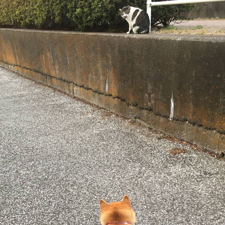 1cccaa6e f875 4245 ad72 54ca28ad0b6a 1613429811532