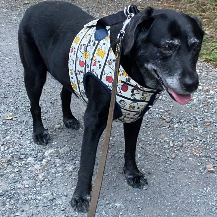 1cccac9b c5e7 441e bbb6 f45db9a4dc55 1633780637399