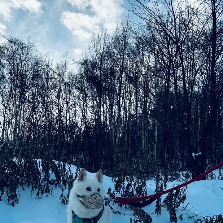 1cccf190 56e0 4109 a441 b9c51dd51b0a 1701128623068