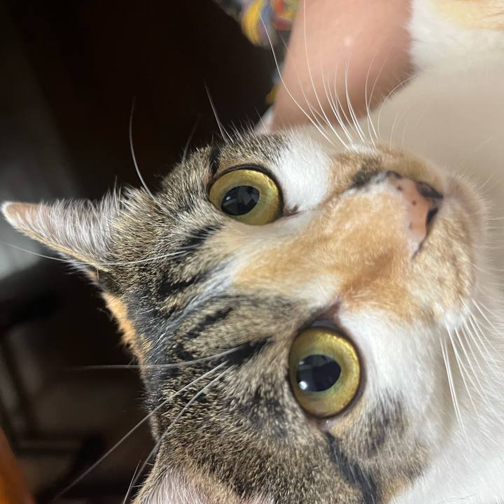 1ccd2b36 4e64 463f b986 555339d51602 1756336127202