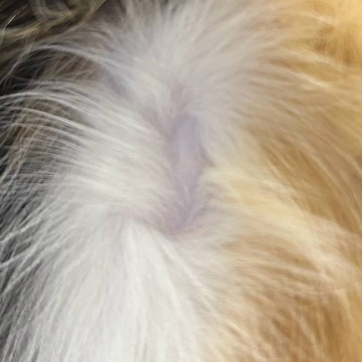 1ccd749e 196b 4570 9293 79b424b53c2d 1765887166520