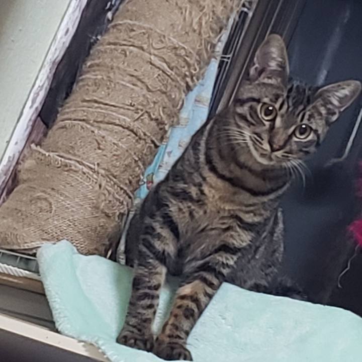 1ccd94dd cab1 4fed 8ae4 d92d4e77ef99 1547032125585