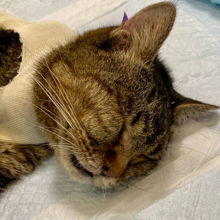 1ccda594 bfb3 4c31 96ff 60709eb03d35 1688797105172