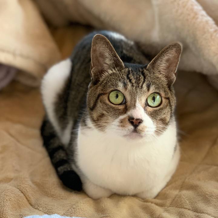 1ccdcfac 2247 419b a8ce 63d5f923de2d 1573175136109