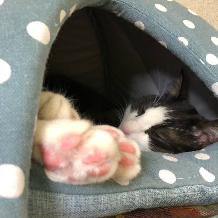 1ccddfd4 79d2 4e25 b842 908ff7fcf072 1520488147635