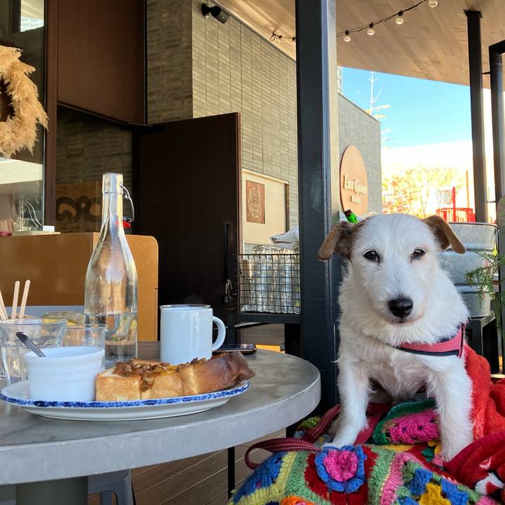 1cce001d 8719 4349 a387 8781631d17ad 1670122040647