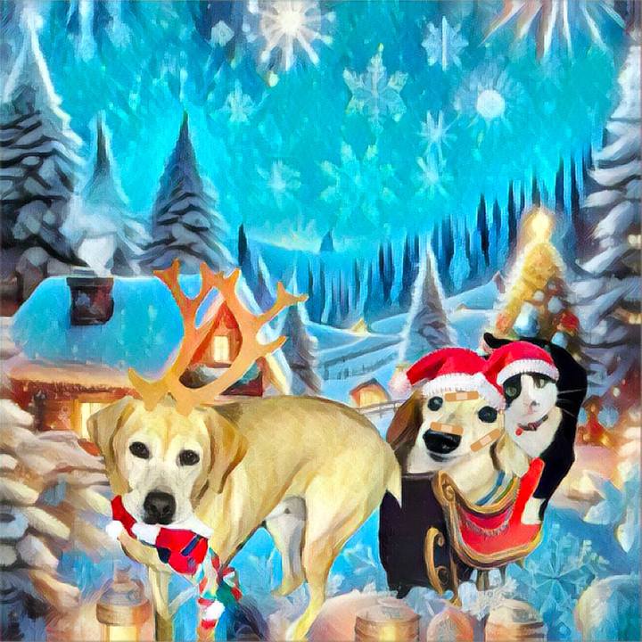 1cce51cd db31 46ef a022 f0465dec2aaa 1734782460675