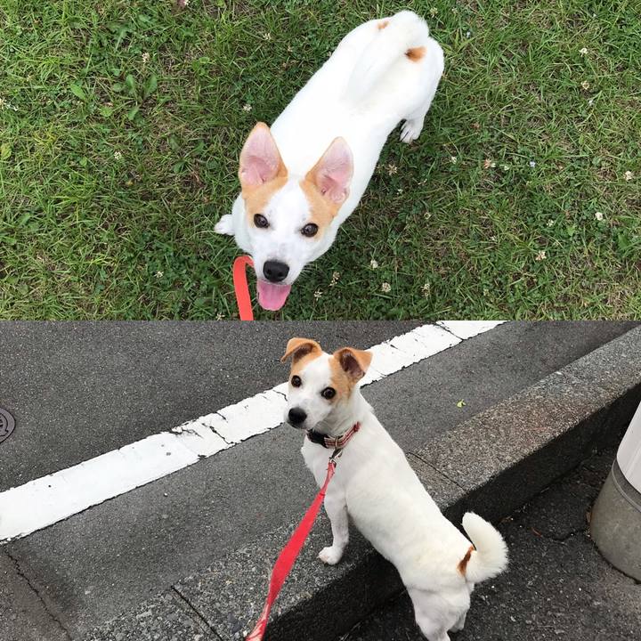 1cce7ced 7c43 4f8b 8776 1874a56b9381 1560133751144