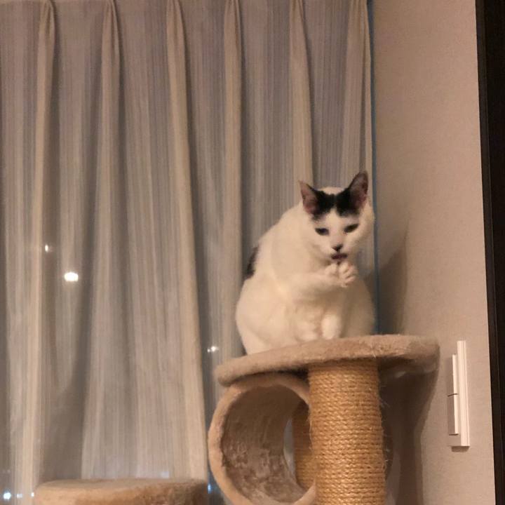 1ccea04f b5b7 43dd 9bdc 793c192bd901 1541082018784