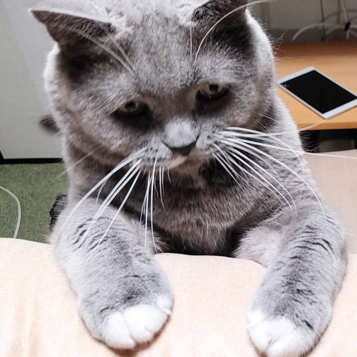 1ccec02a fc04 4e7d aefb 7a1801bb1a2f 1704706992732