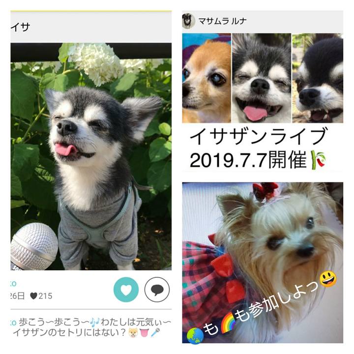 1ccec2df 5bc6 4d34 b4e4 095f4528f83c 1562293472450