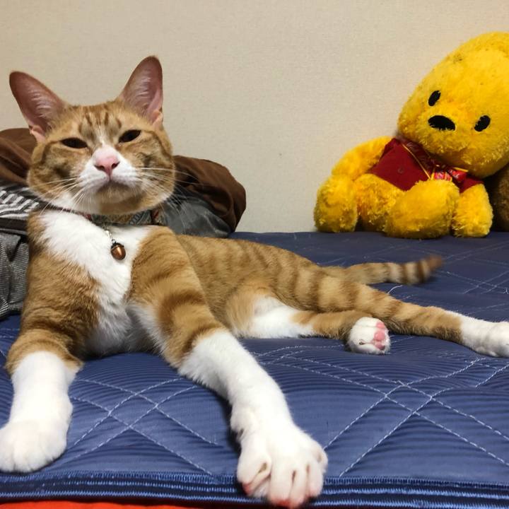 1ccecb38 1174 4fdb a077 8c8902d335d0 1563706624029