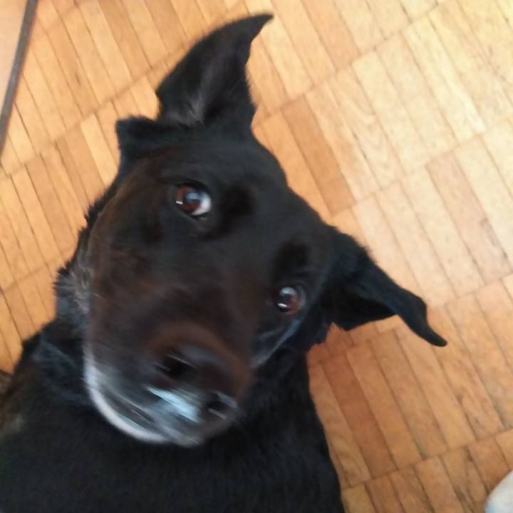 1ccedce1 b772 49ec 9e8d 28a8afc463d6 1584863330119