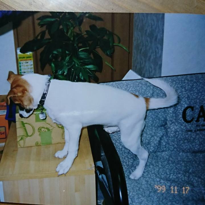 1ccee8b1 ae54 4c56 9a3f 4c869969ce5e 1510497762266