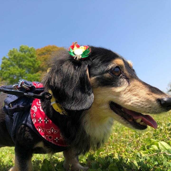 1ccee914 ae11 4bd2 b919 937293f434ec 1618894366439