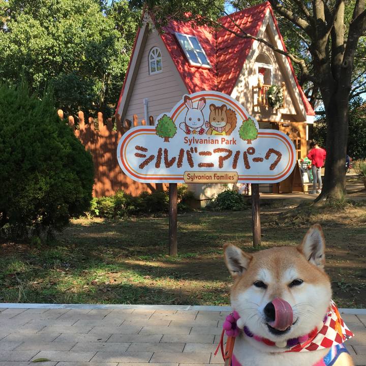 1ccf1a9b 0d24 49ed 9f2e 814b04544d4b 1573917817074