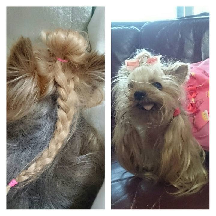 1ccf2ad0 31c2 48be 8ebe 7486c8d1f5d2 1519736467407