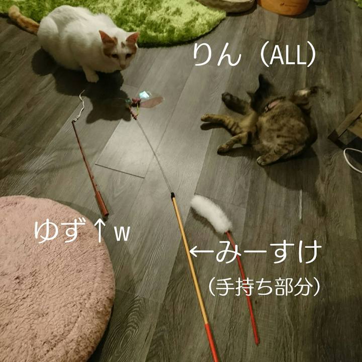 1ccf373b 8153 49d7 ae56 62ba2cccc441 1530449583019