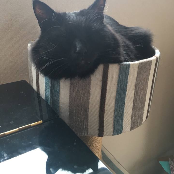 1ccf60be d636 4781 a0fa e0df73380b9e 1524631829019