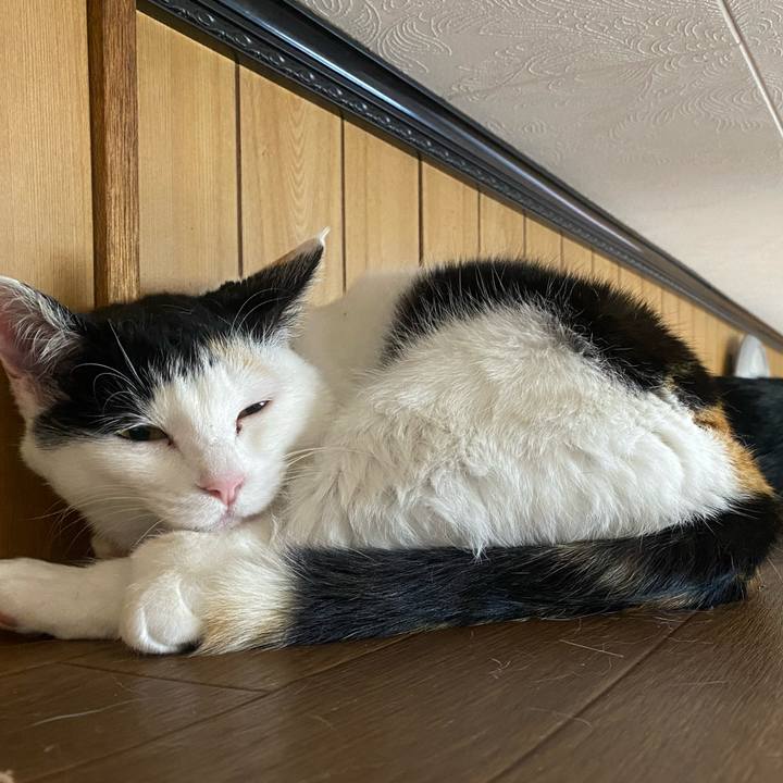 1ccfa23e 100d 498b b748 89a7c9becaef 1651496672707