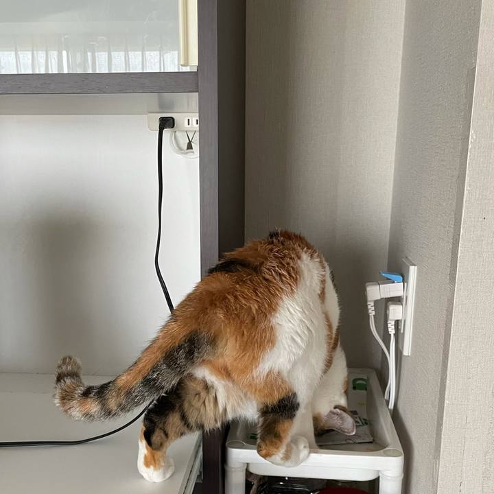 1ccfd9d3 db69 426c a984 649fb2224adb 1624246274165