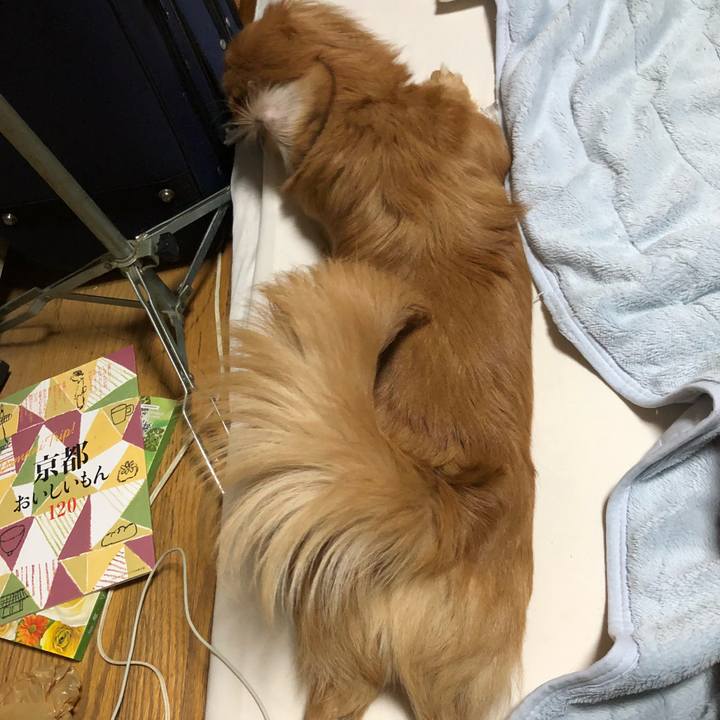 1ccfeb57 cdeb 4070 ab20 41367cea3c03 1509140640148