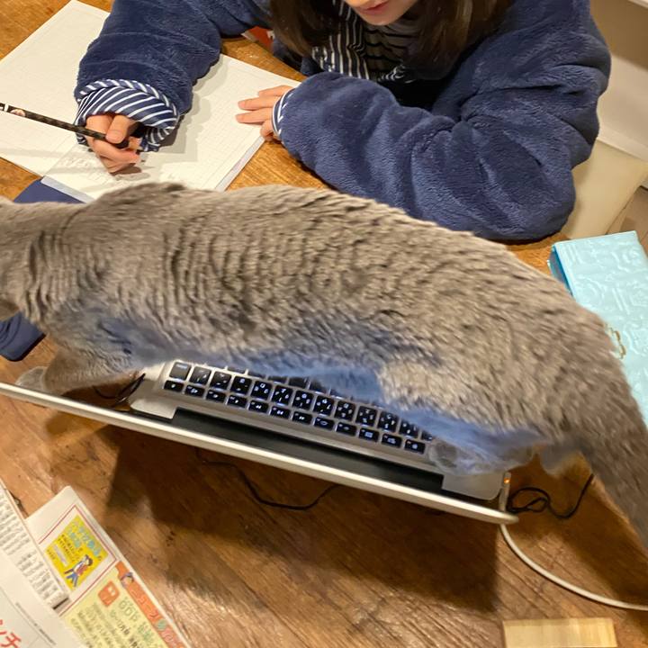 1cd00f9c f542 4d65 bc80 bb844f785d61 1582241614124