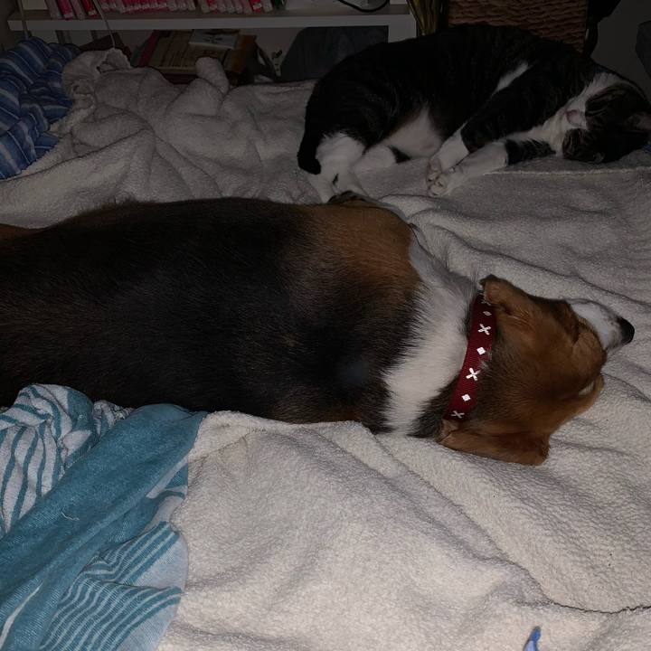 1cd05152 6979 4b37 80a1 34434f3e5417 1623144750811