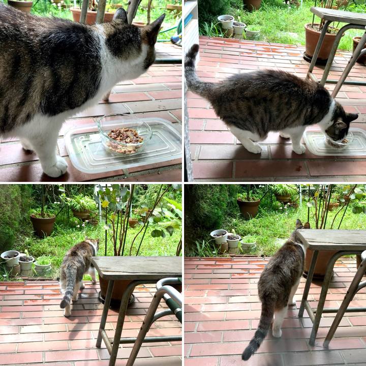 1cd052b5 2625 4bfb b07e 93e9c1eacf54 1531289287826