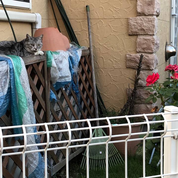 1cd07bac 6b4e 474c b7af 941971d57905 1536496286569