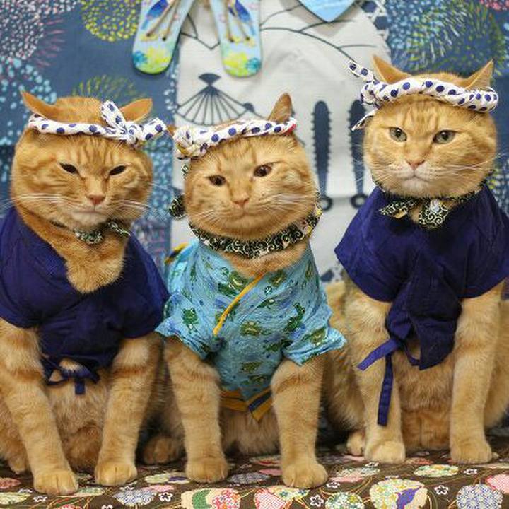 1cd091c6 6977 4854 bf19 bfa01407cf2a 1565710011007