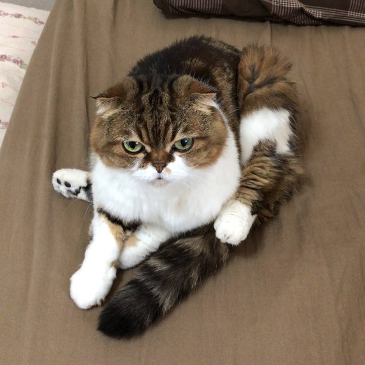 1cd0931d bab1 4c39 a0b7 fbcae13ba25c 1539323965531