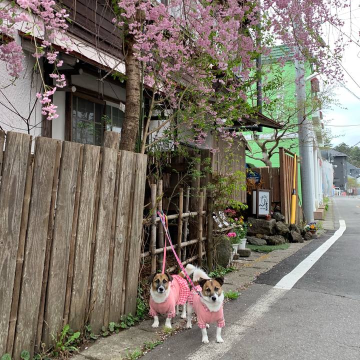 1cd0982c 1406 4cf4 b140 9fc9635e2b8b 1651311649027