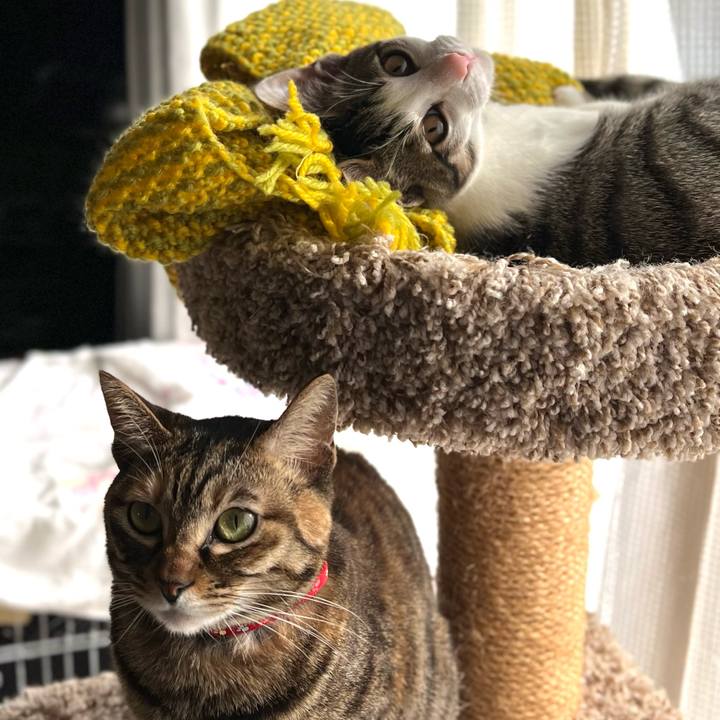 1cd0dde7 8c67 4b12 a42f 56cb489d9edc 1768655516969